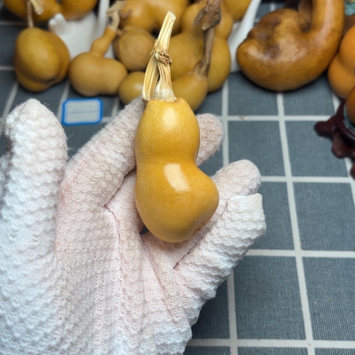 吭***犟葫芦66666666666666