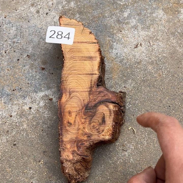 柏木南太行崖柏切片