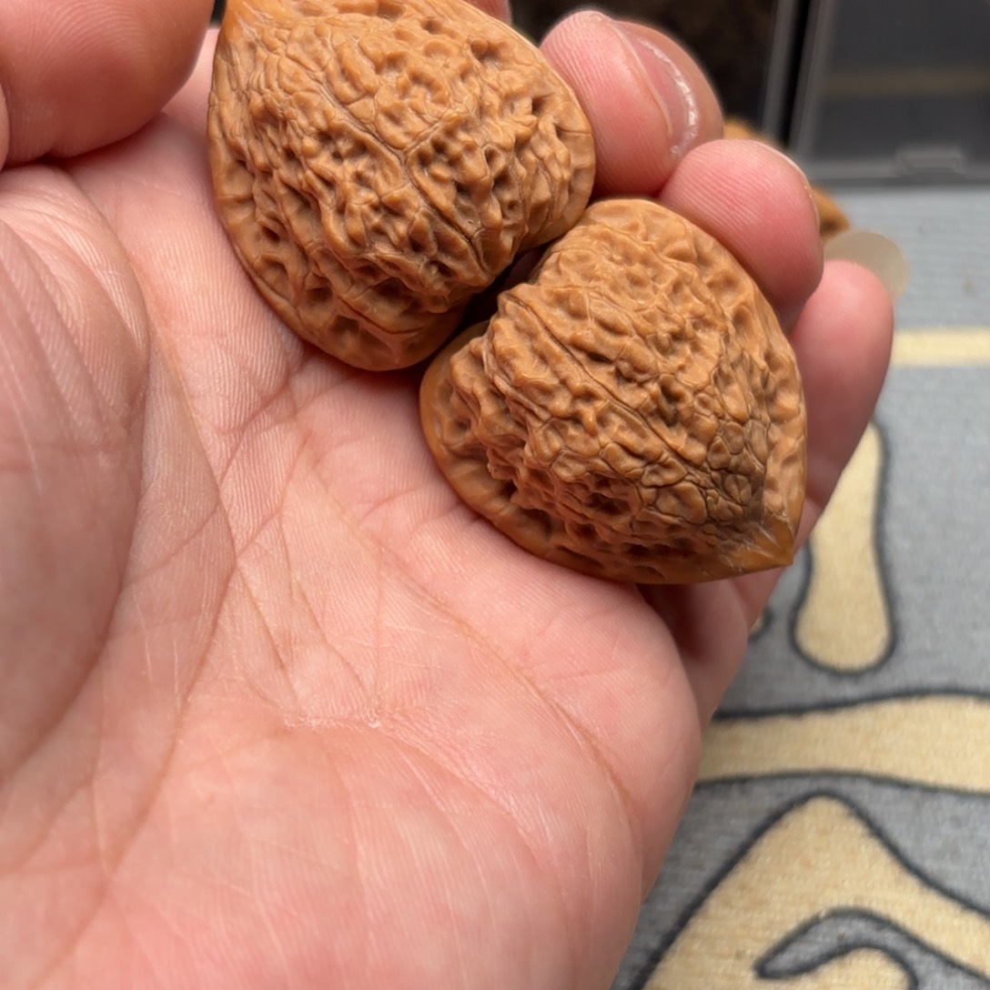 文玩核桃把件蛇王一抹红