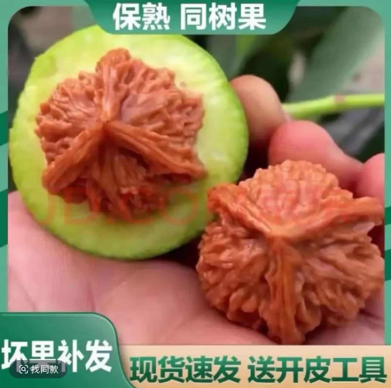 盘山三棱青皮文玩核桃官帽狮子头麒麟纹可自己开青皮