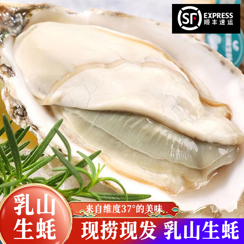 【顺丰冷链】乳山生蚝新鲜海蛎子海鲜5/8斤  鲜活海鲜海蛎子