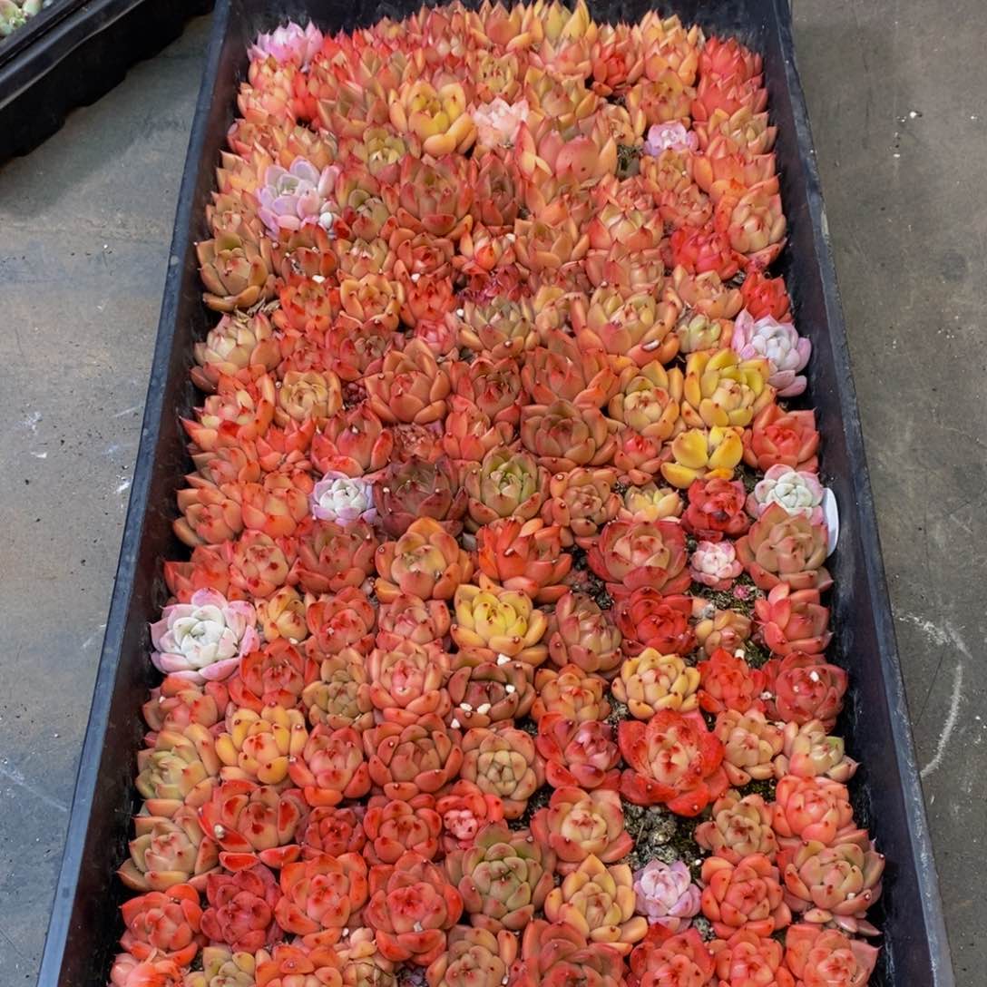 108的人生态度就是说