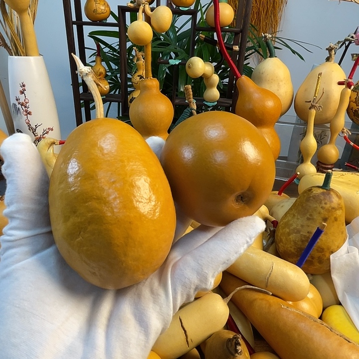 ****有藤手把葫芦精品系列7