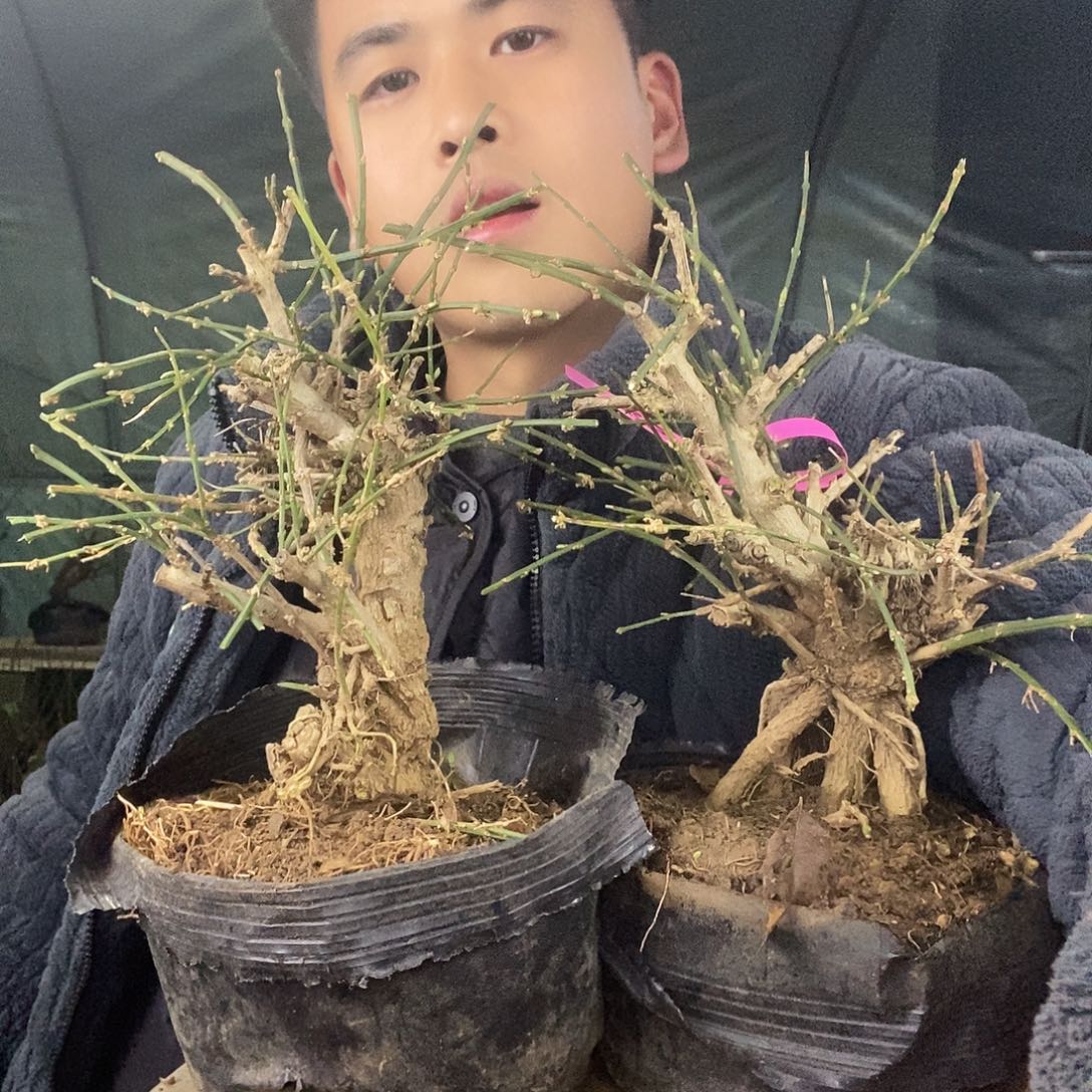 完全开放11111111