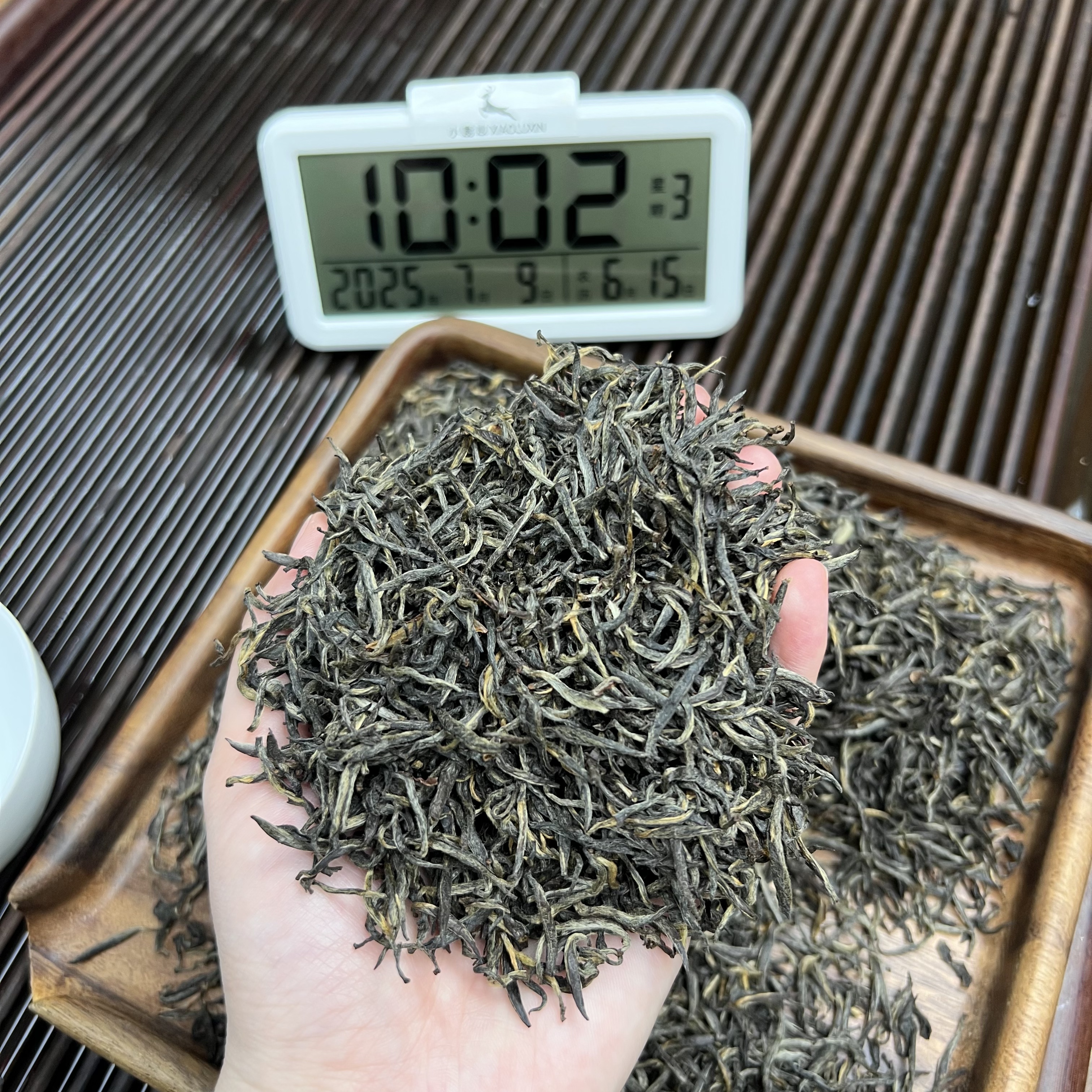 武夷山梅占金骏眉 ①  小鹿收茶 腊梅花香 武夷红茶 7月9