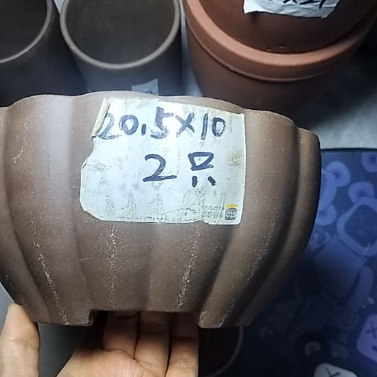 南瓜两个紫砂花盆