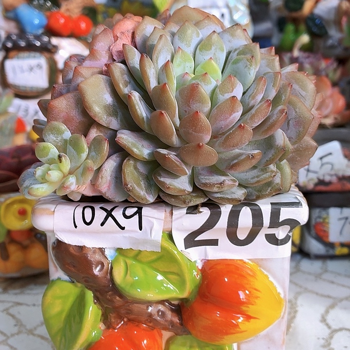 多肉花盆，满15包邮