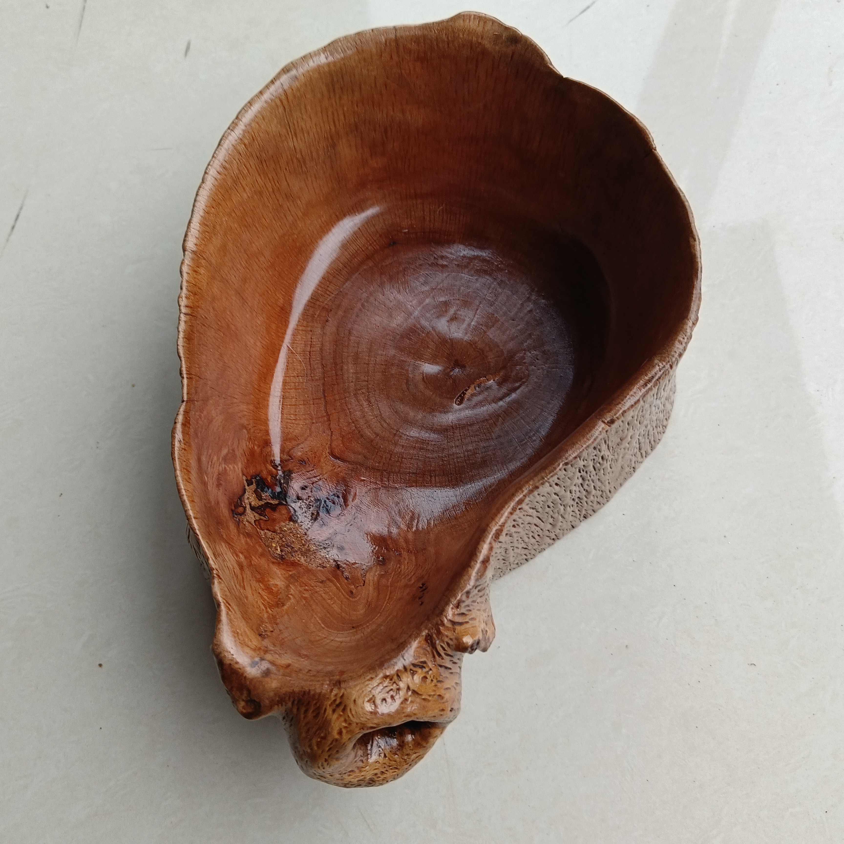 冬瓜木树瘤异形果盘长25宽16高9厘米