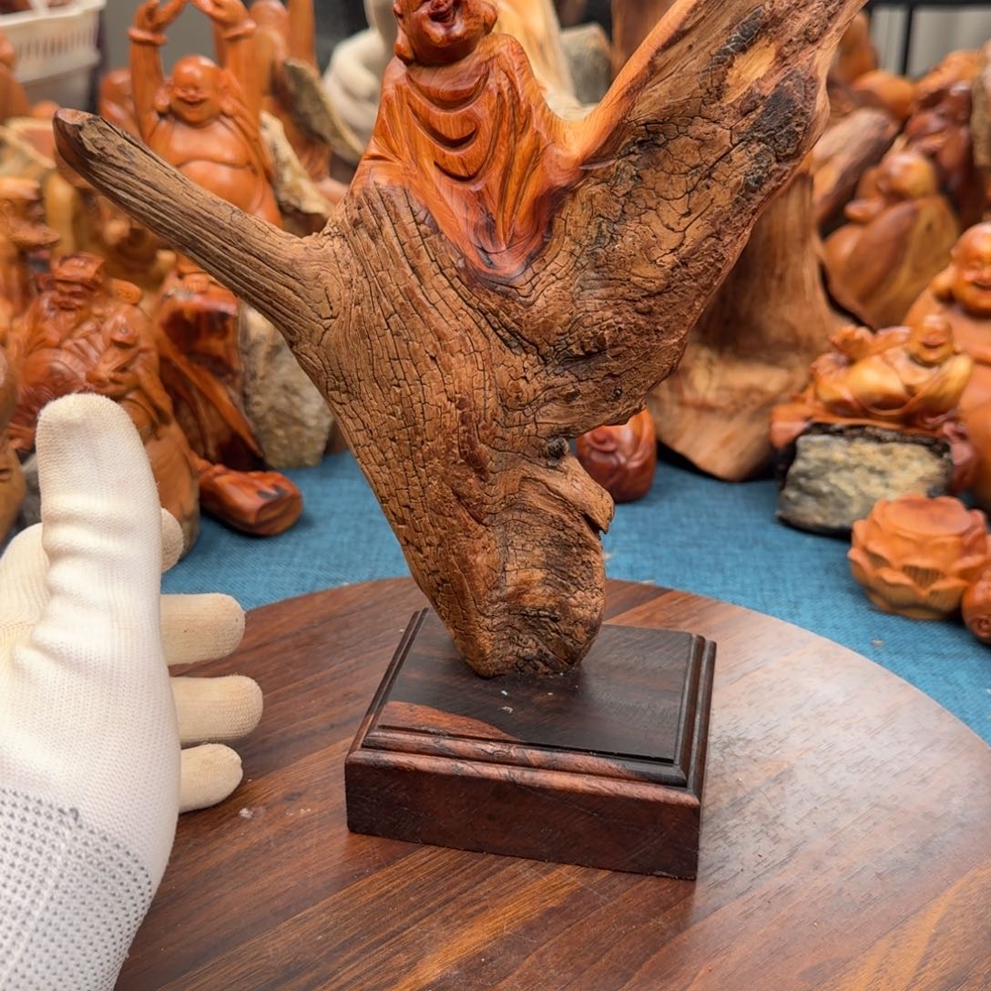 柏木（崖柏）太行崖柏