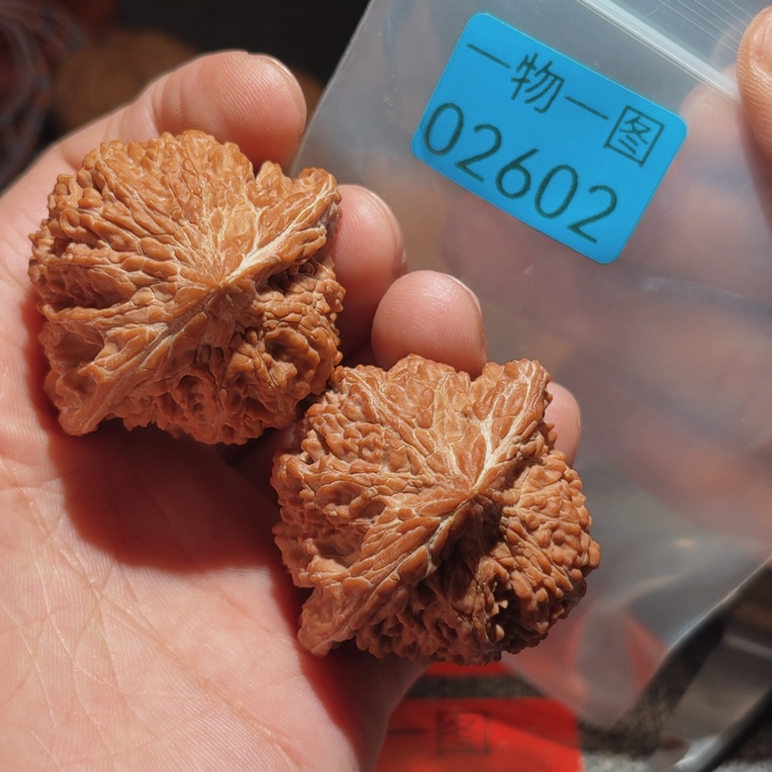 把件文玩核桃满天星