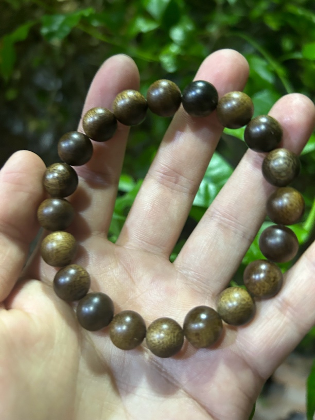 【土特产菇34】净含量12g