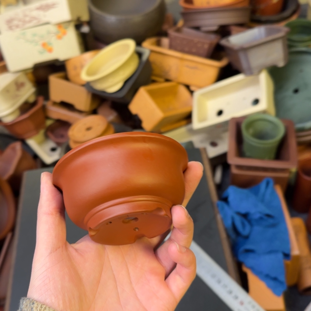 泥塑8+4vvvvvvvvvvvvv