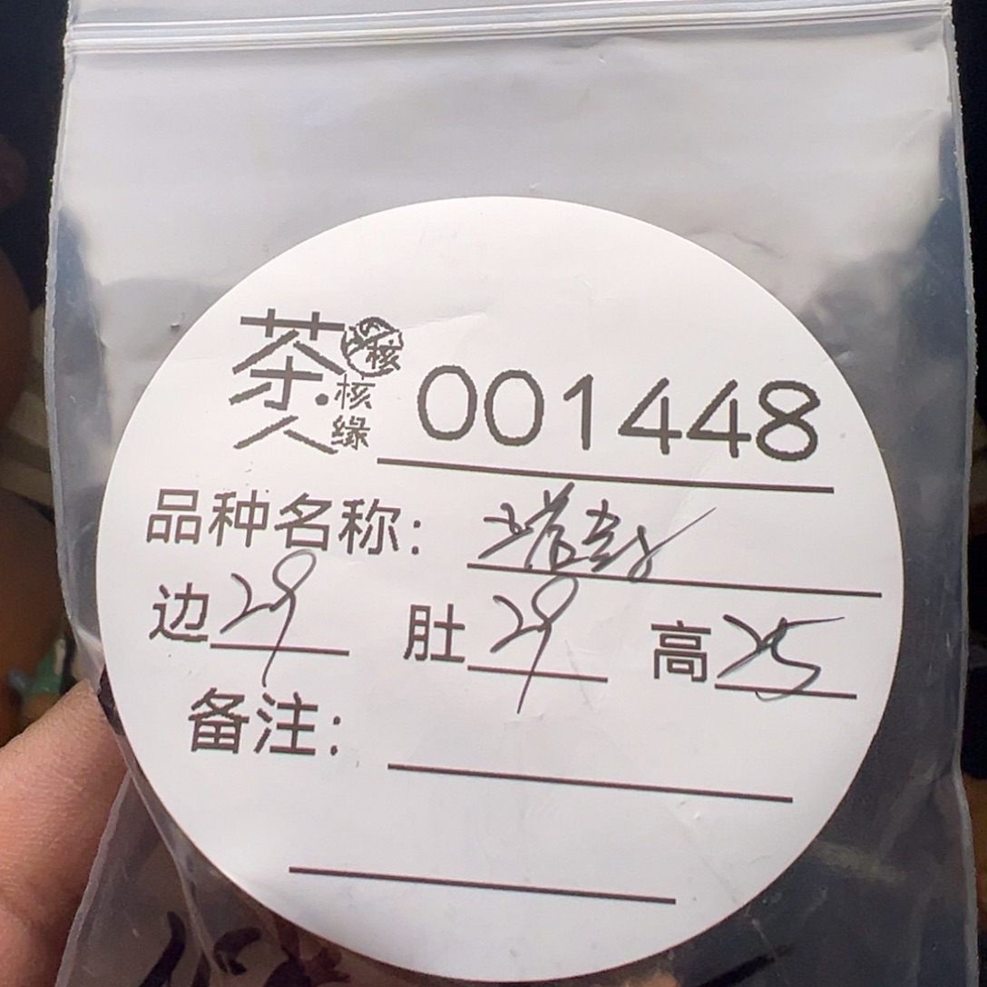 吊坠文玩核桃今天