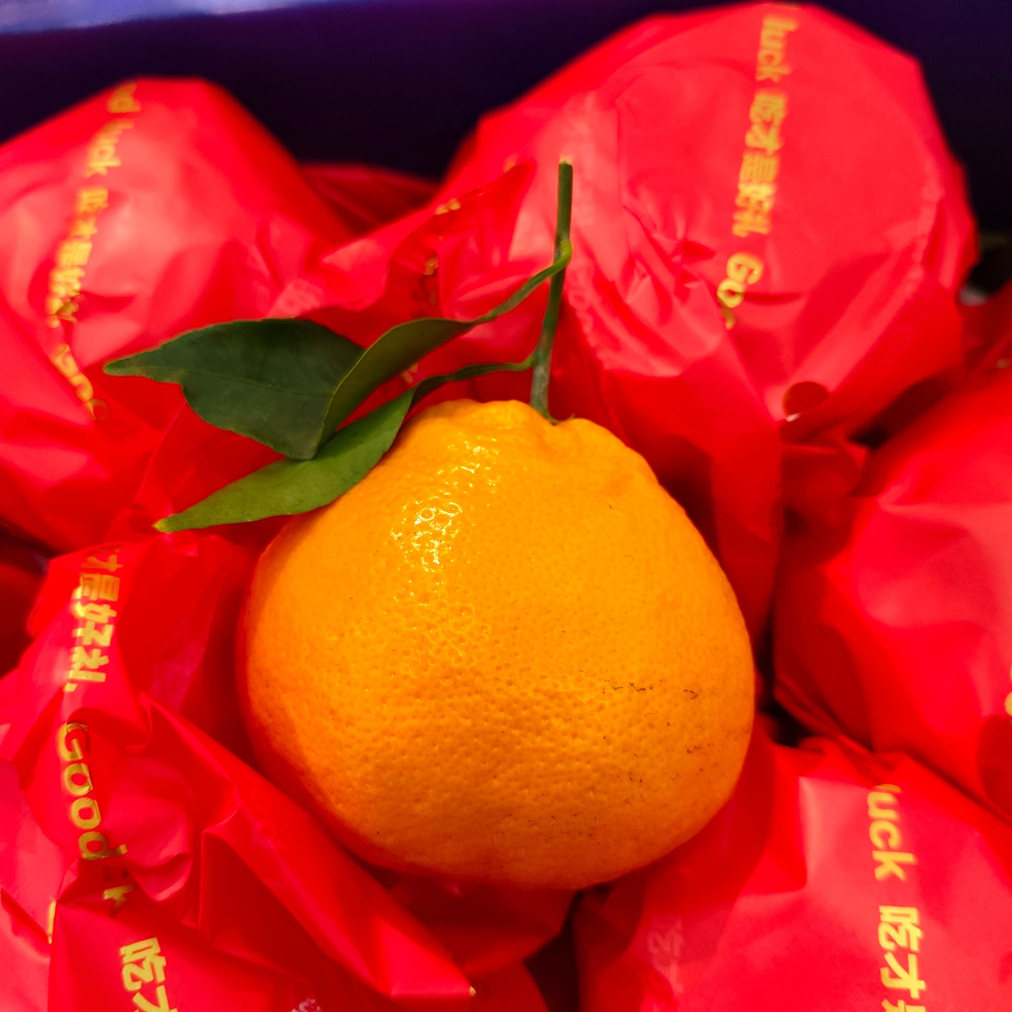 【新年水果礼盒】慕诗春见耙耙柑A1果好吃好礼水果礼盒