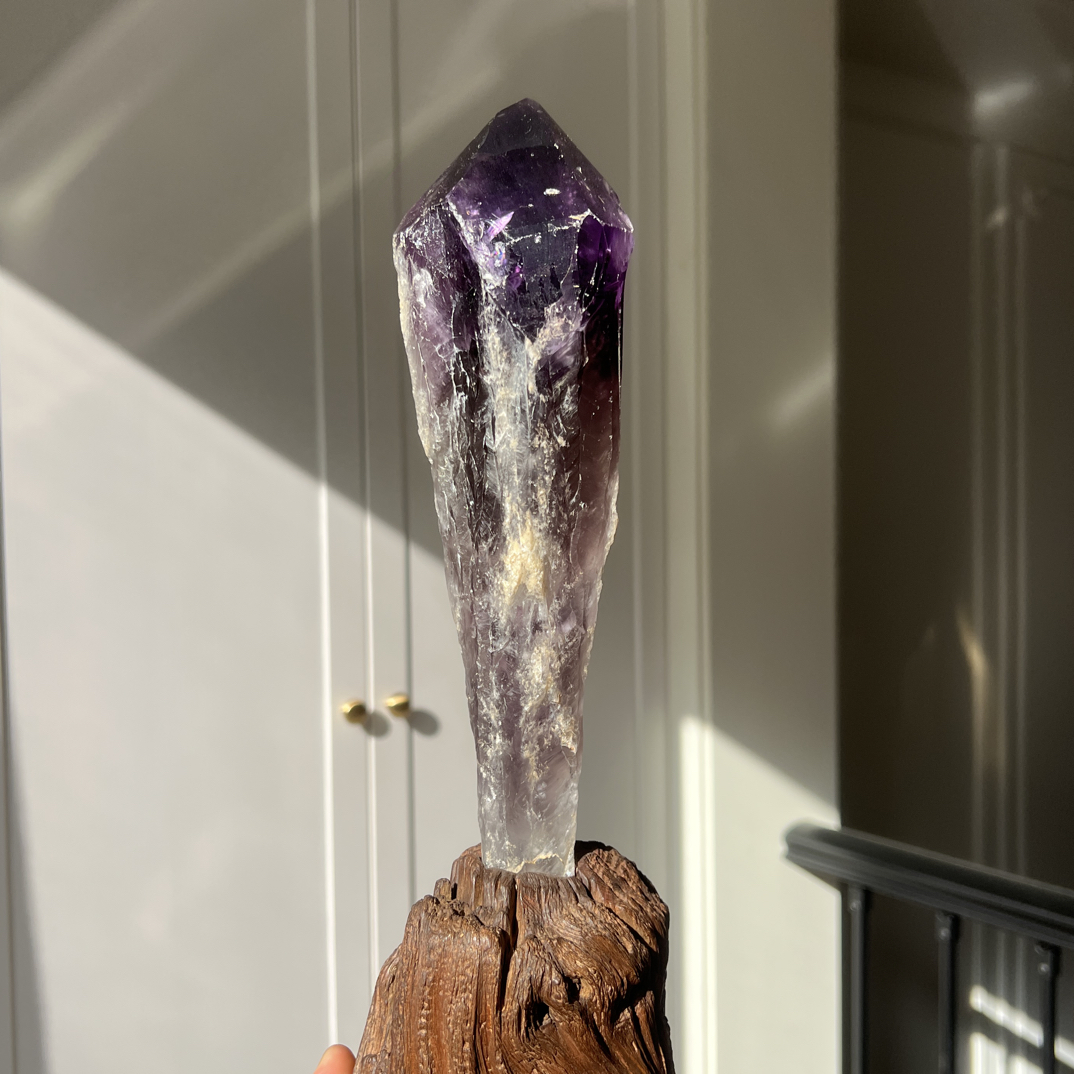 乌拉圭天然紫水晶权杖骸骨骨干紫晶石原石原皮矿石水晶工艺品摆件