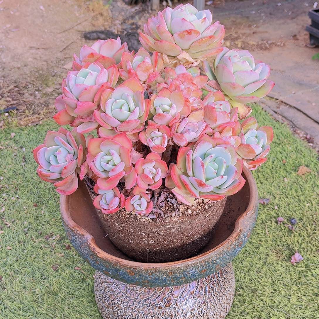 快****?十二8999999999999999