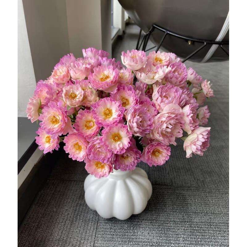 【梦幻海葵】多头玫瑰 真花鲜切花云一单中通 拍够任意两单鲜花顺丰