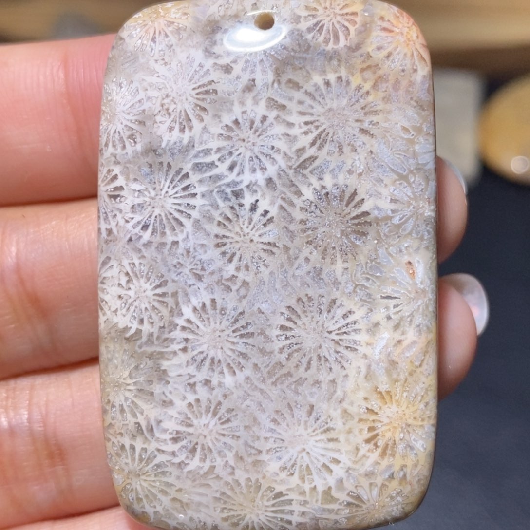 【闪购商品】硅化玉颈饰未镶嵌