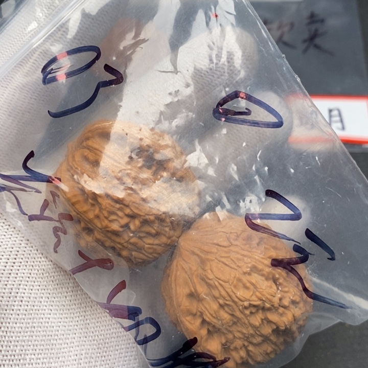 橄榄核手串/手链文玩核桃哈哈哈哈