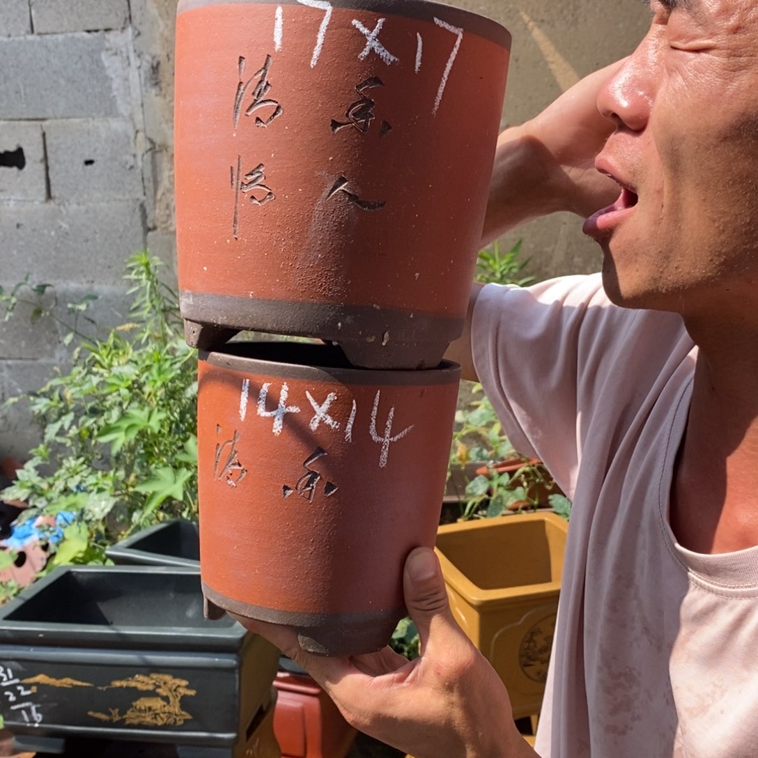 紫砂紫砂紫砂紫砂