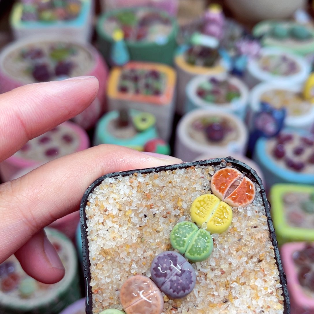 269。8885888888888888