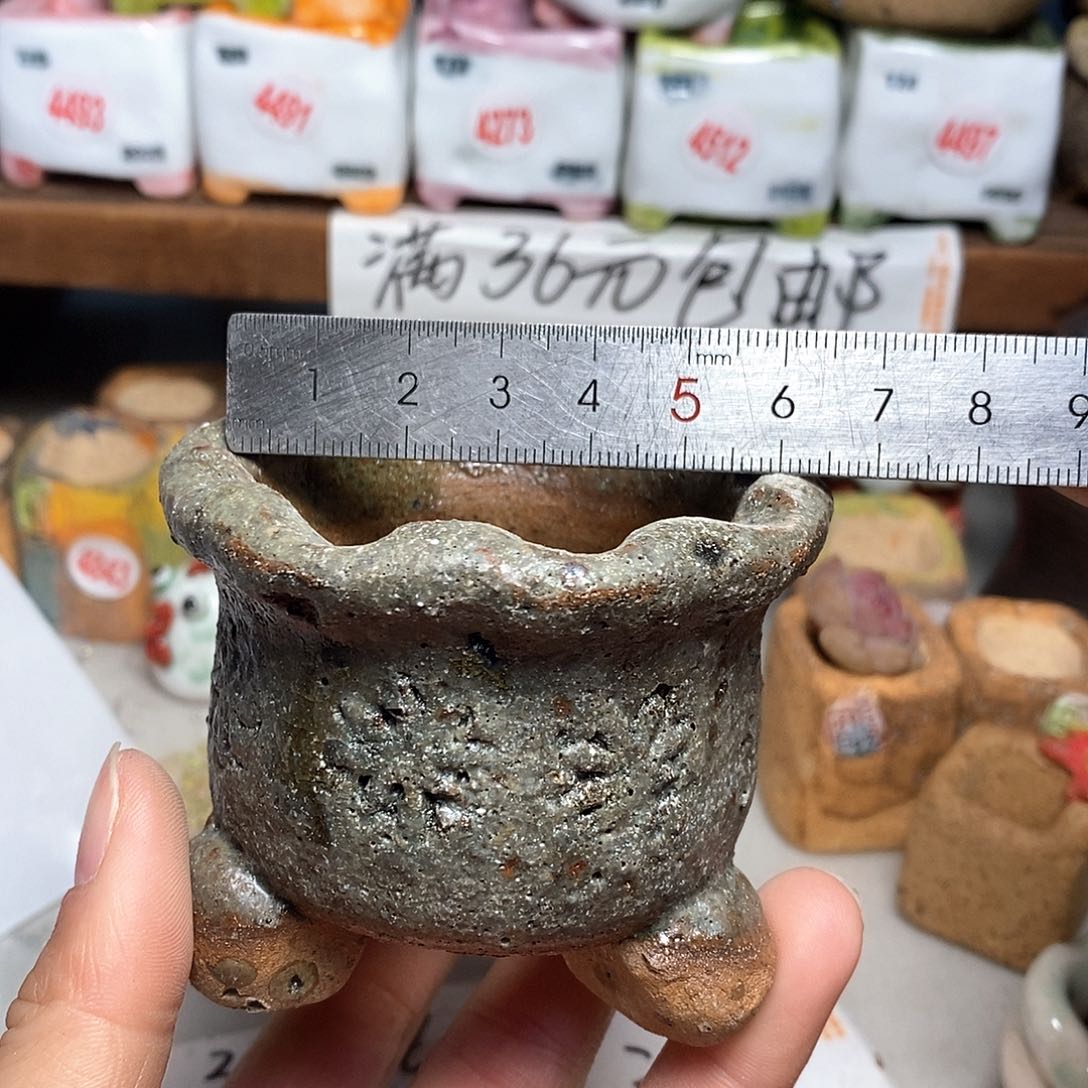 红陶拍5送一个小