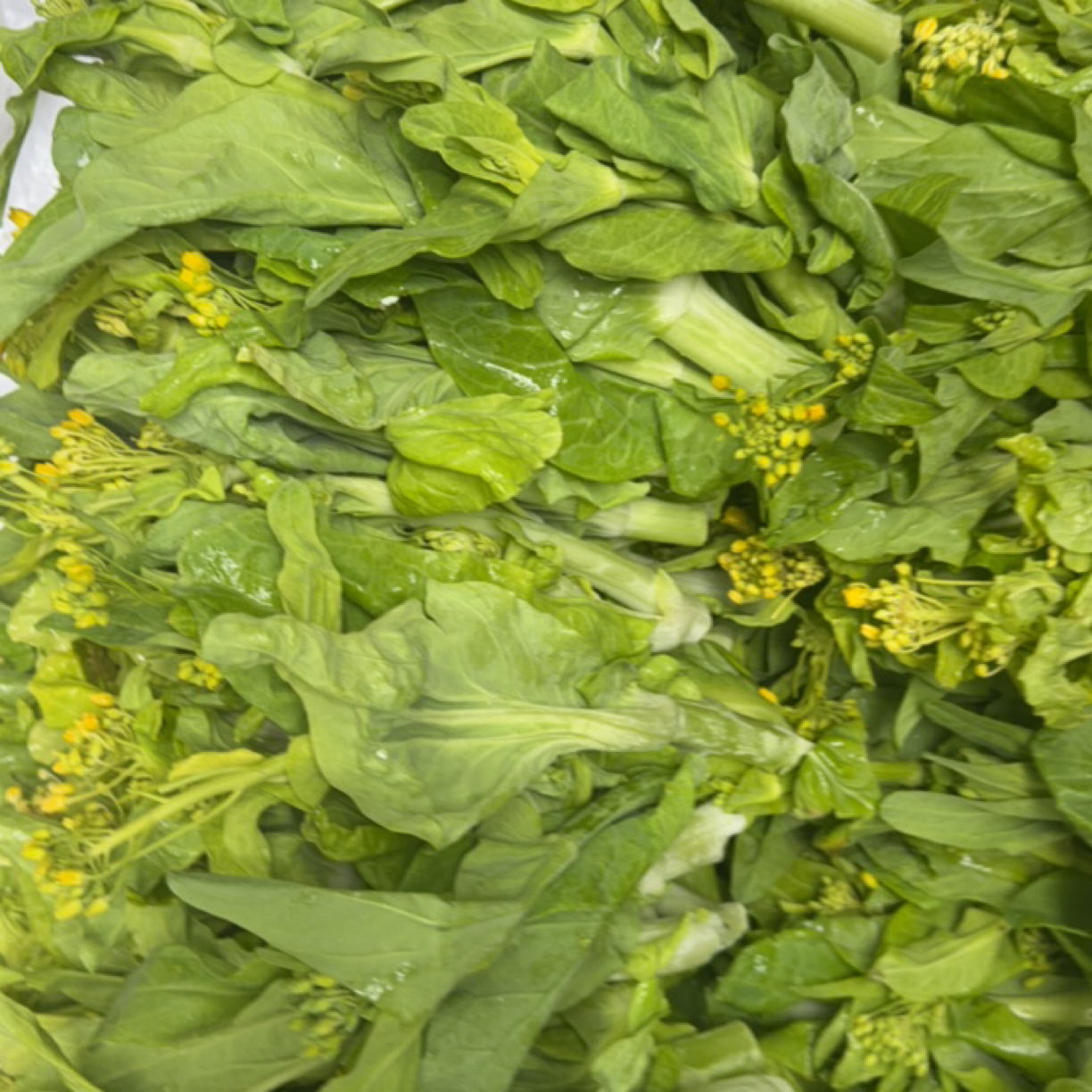 （顺丰包邮）农家自种新鲜菜苔时令蔬菜