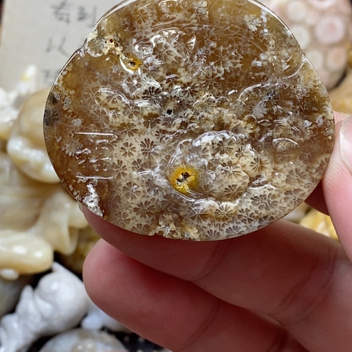 颈饰未镶嵌硅化珊瑚（珊瑚玉）有瑕