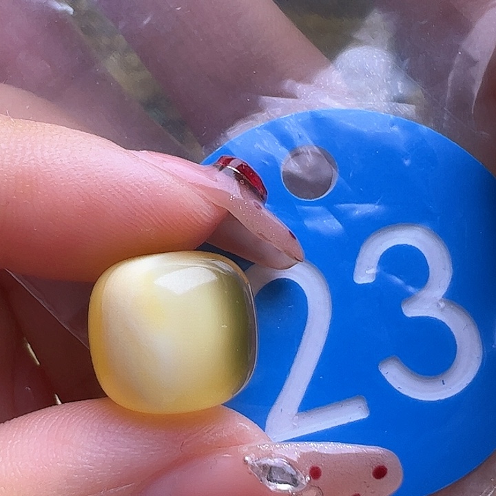 未镶嵌蜜蜡裸石12.4mm老型 微瑕