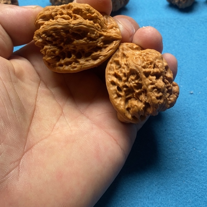 核桃金蟾王骨质嘎嘎好以打底