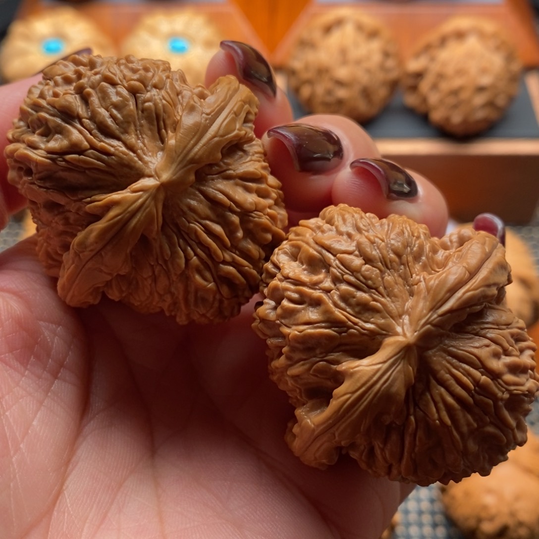 文玩核桃把件42尺大肚子白狮子