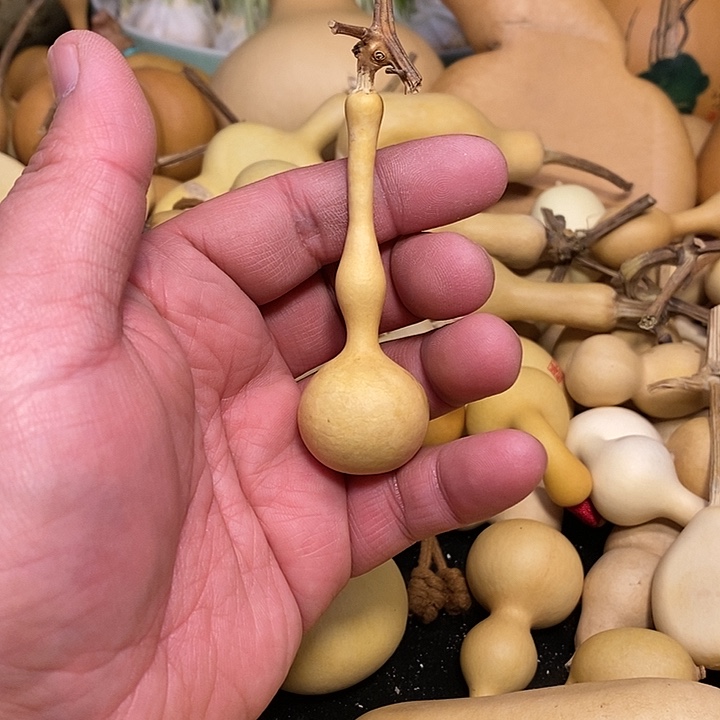 缘****6精品葫芦手把葫芦64