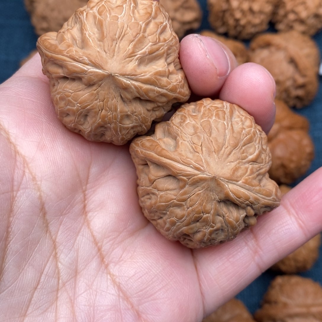 文玩核桃把件▫️40.8毕业铁锤全品