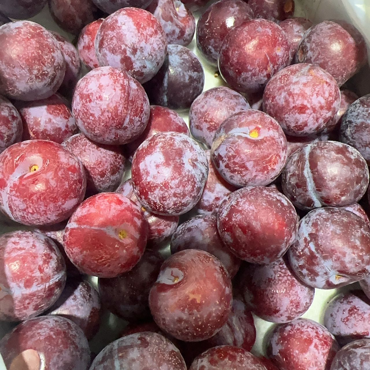 【只发新疆】拾光有李云南蜜李脱骨李香甜多汁乌市直发