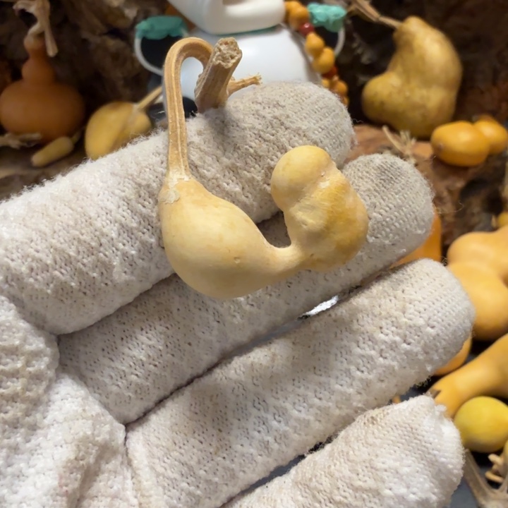 *****有瑕疵666666777787888