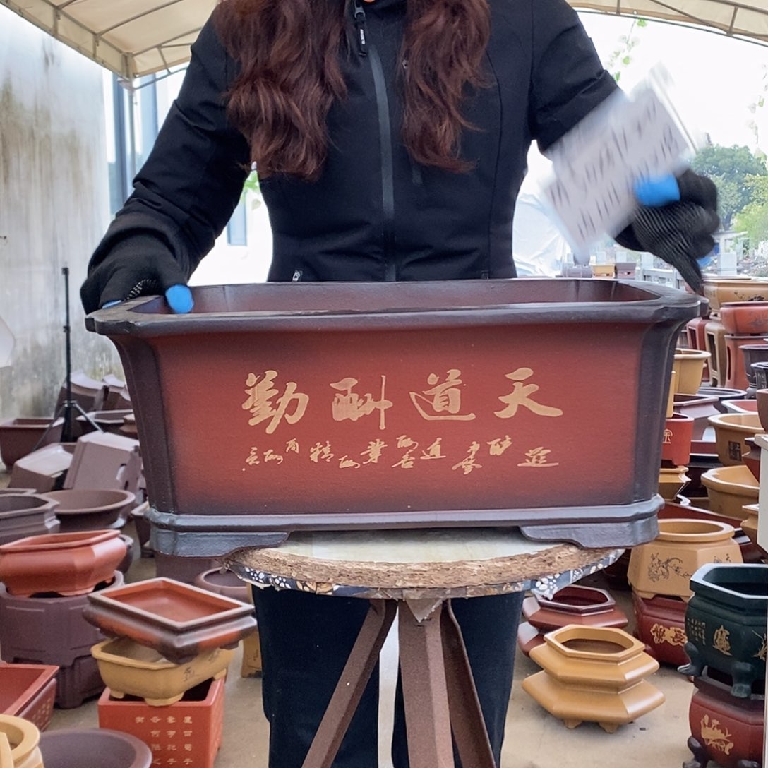 花盆紫砂紫砂花盆