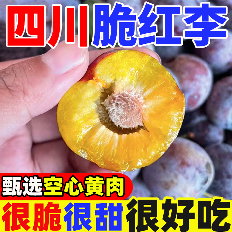 四川正宗脆红李小脆红新鲜应急水果脆甜多汁