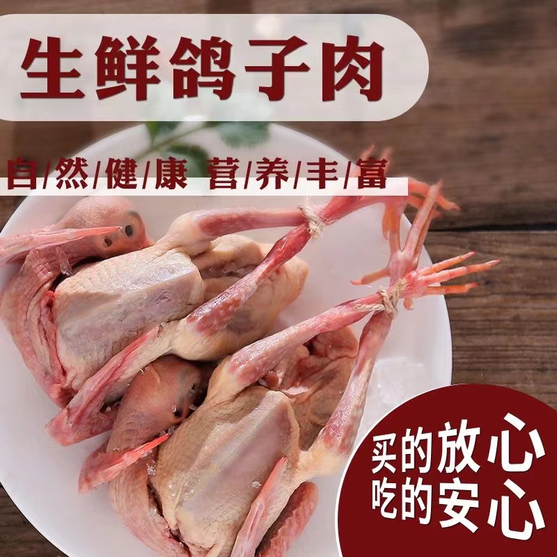 【小妹专属】农家喂养土鸽子新鲜现杀带心肝急冻锁鲜到手五只