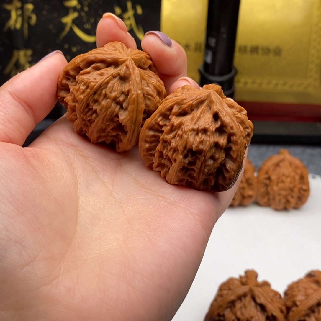 陈*年白狮子1111111