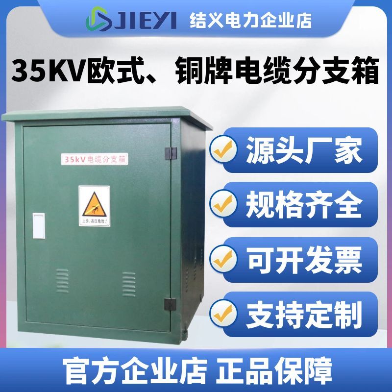 10KV欧式电缆分支箱24KV35KV一进三五出户外高压不锈钢铜排对接箱