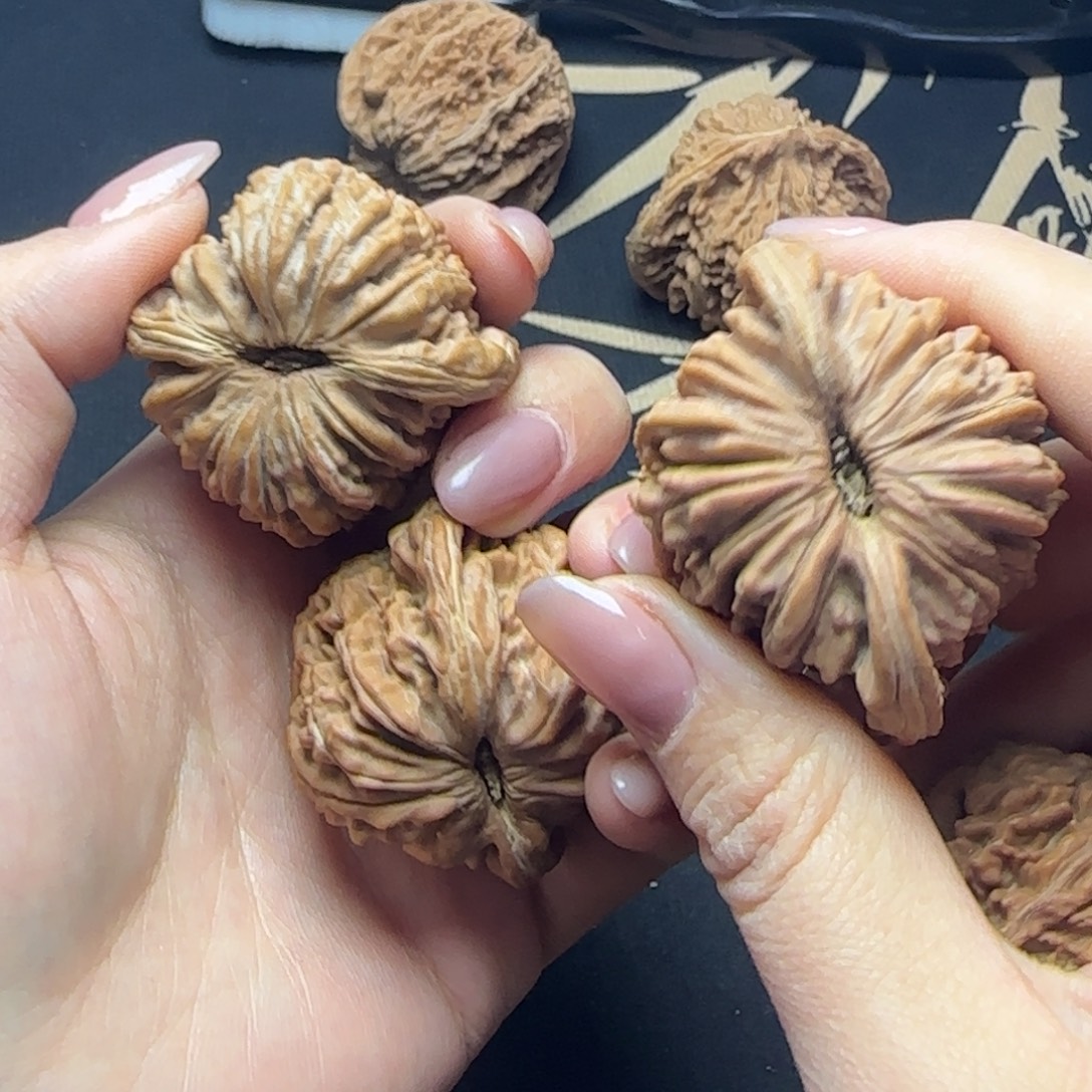 一***️大叶紫檀（黑酸枝木类）