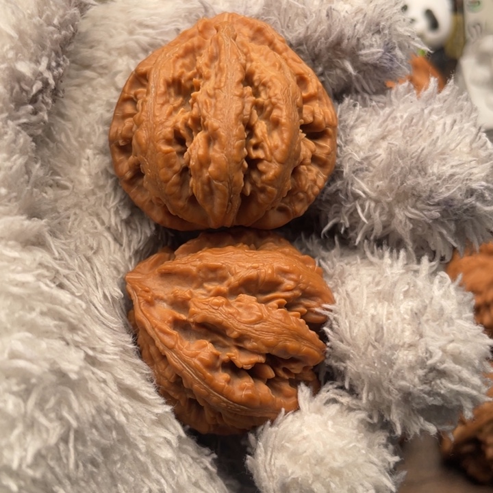 仪***成核桃39尺秦八棱野生果