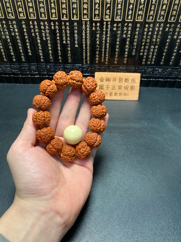 新籽精品金刚（7号）