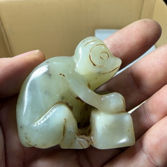 军*如图所示所拍即所得