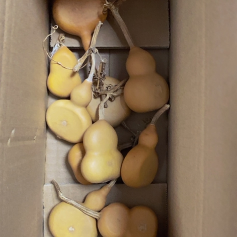 【闪购商品】十个扁30块钱