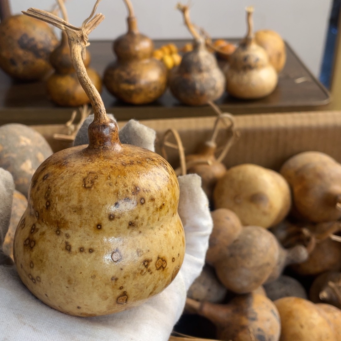 香榧木蘇****~葫芦葫芦