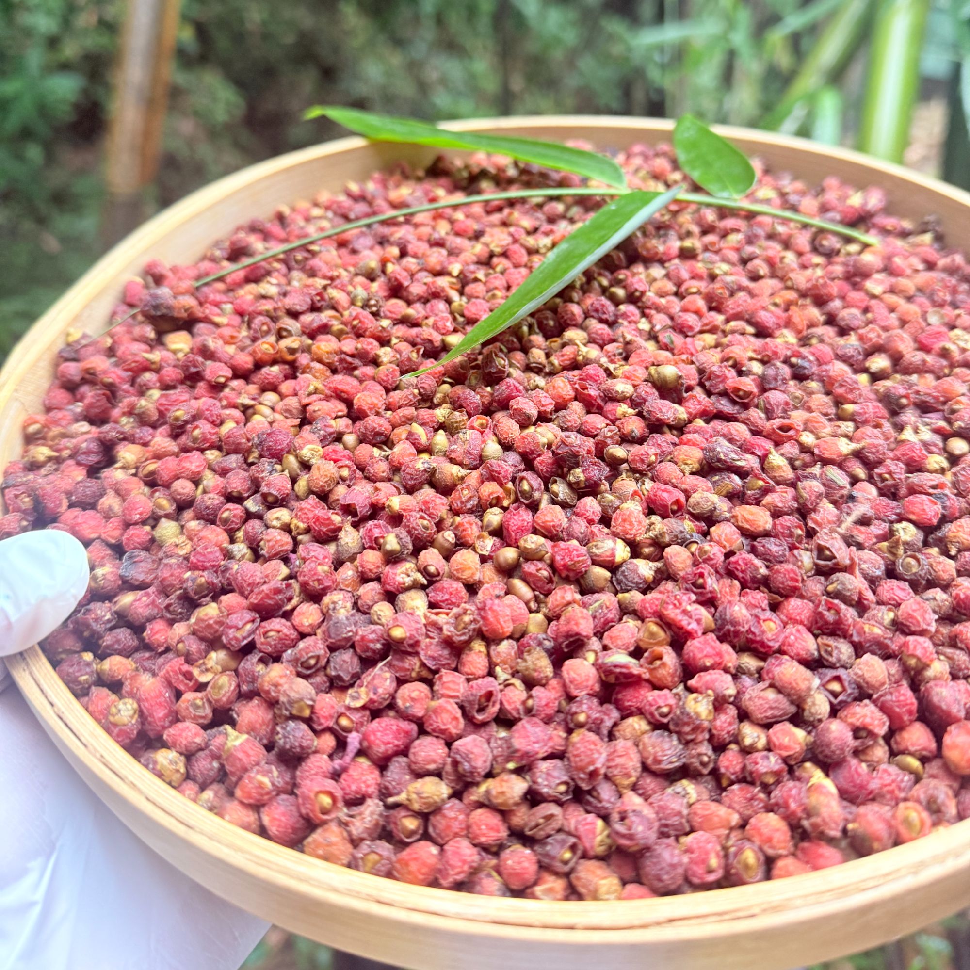 1【红-D-杉】净含量：100g-500g【小英现收】