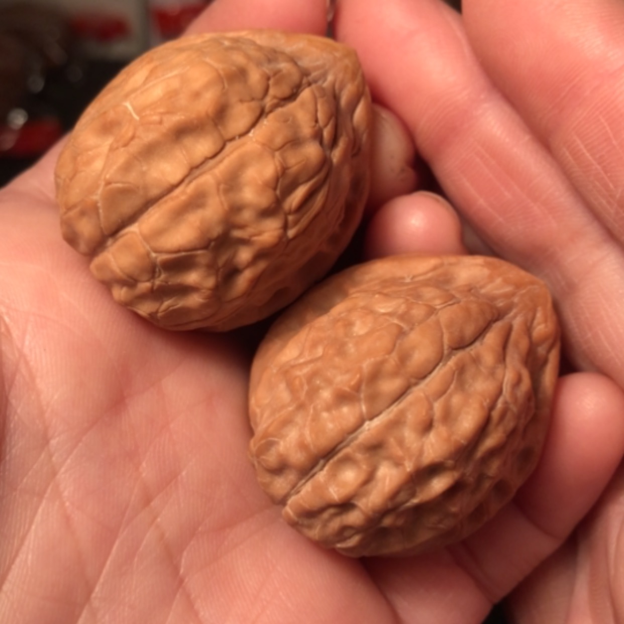 【闪购商品】文玩核桃把件龟甲纹33