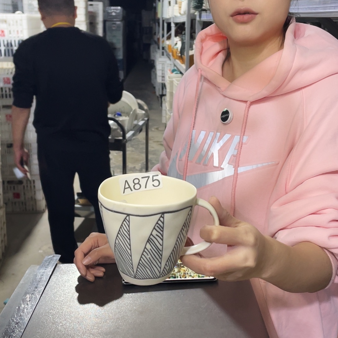 瓷片875                 2个