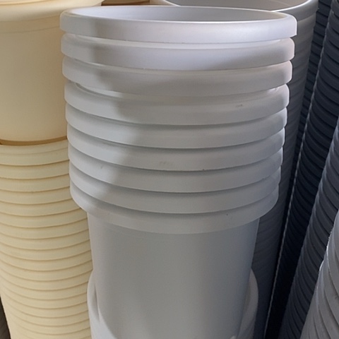 树脂四季4号10个无托白